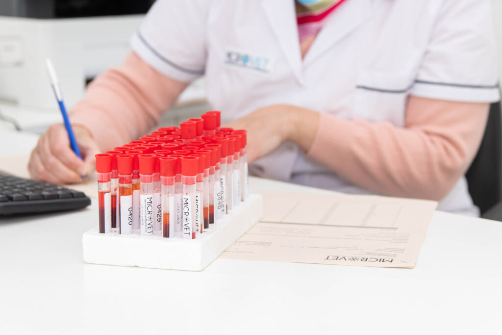 Contactanos-microvet