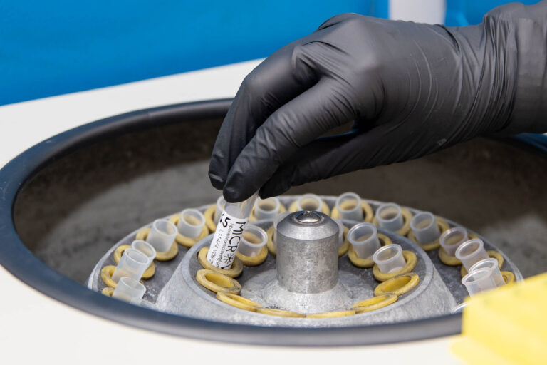 Se agiliza la carga de actas de toma de muestras para diagnósticos de sanidad animal